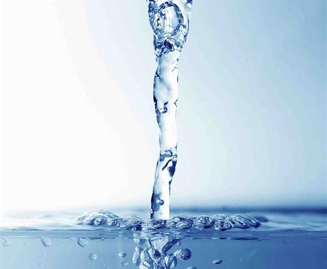 Ecological Water Filter