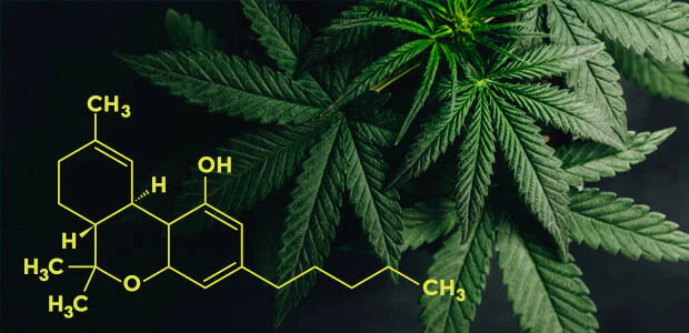 THCA Drinks