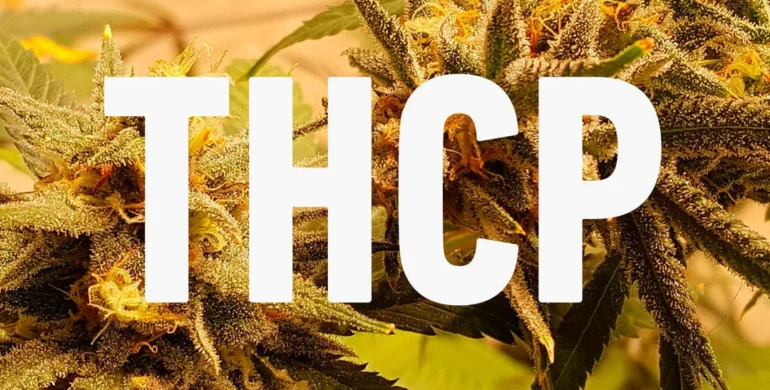 THCP Flower Wholesale