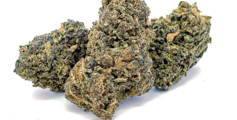 THCP Flower Wholesale