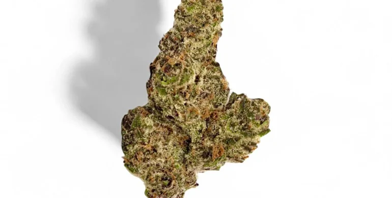 Purple Punch THCA Flower