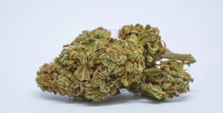 Tropic Super Jet Strain