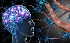 Autism Stem Cell Treatment