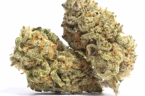 Soho Cake Strain