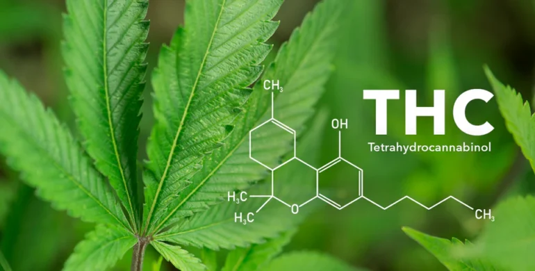 Infused Lip Gloss THC