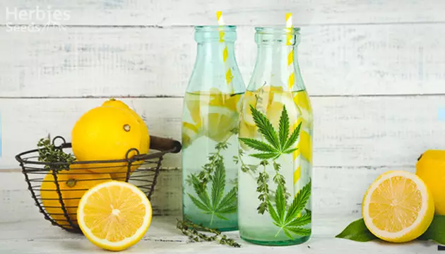 THC Lemonade Bottle